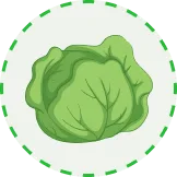 汇聚全球电竞精彩 - 雷竞技平台