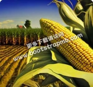 专业数据服务 - 雷竞技平台