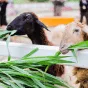 搜索 - 雷竞技平台